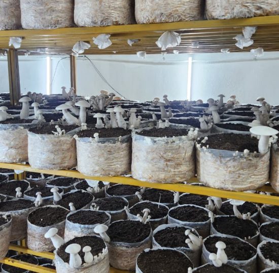 WhatsApp Image 2025-11-04 at 6.04.27 PM