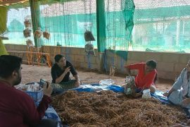 WhatsApp Image 2025-11-04 at 6.05.31 PM (2)