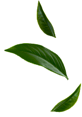 banner-leaf